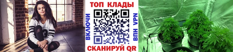 Купить закладку Анжеро-Судженск А ПВП COCAIN OMG рабочий сайт ГАШ Меф