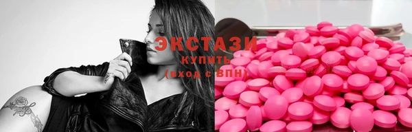 СК Алексин