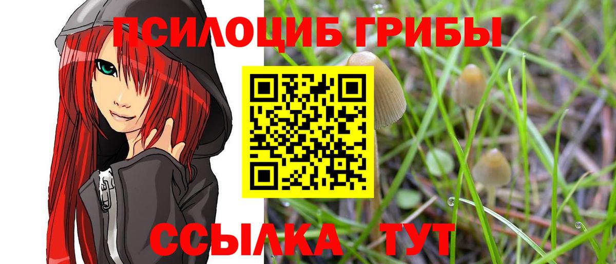 Галлюциногенные грибы мухоморы Анжеро-Судженск