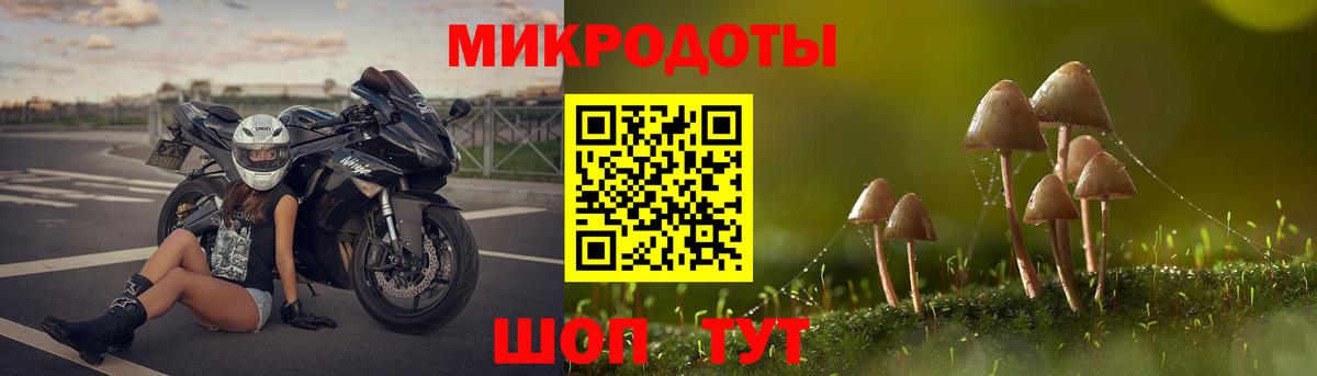 Галлюциногенные грибы Magic Shrooms  хочу   Анжеро-Судженск  Вход с VPN 